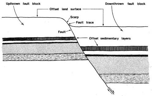 Figure 1. Vertical section through a hypothetical fault in the Houston area. Land surface was originally level, but has since been displaced by movement along the fault. Note thickening of sedimentary layers on the downthrown side. This indicates that faulting occurred repeatedly over a long period of time, while the sediments were being deposited. Such faults are common in the Texas Gulf Coast.