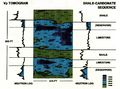 Cross-borehole-tomography-in-development-geology fig4.jpg